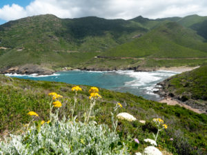 Visiter le Cap Corse
