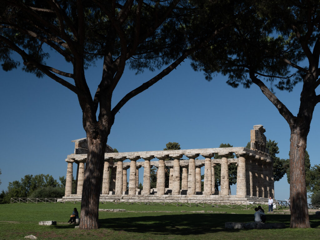 Découvrir Paestum, le temple d'Athéna