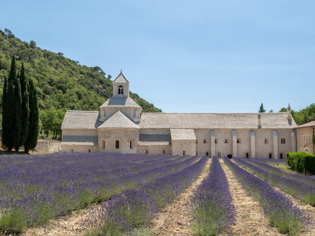 Visiter l'abbaye de Sénanque et ses champs de lavandin