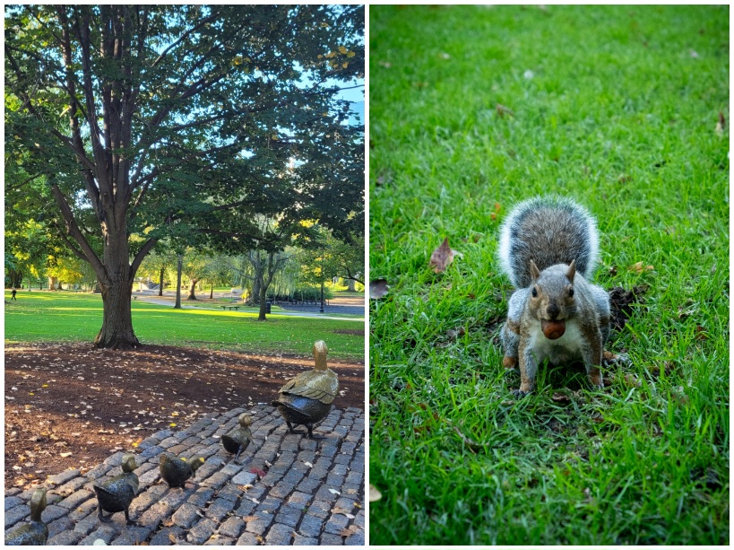 Visiter Boston avec des enfants, boston public garden et common