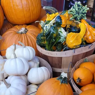 où partir pendant les vacances de la tousaint ?